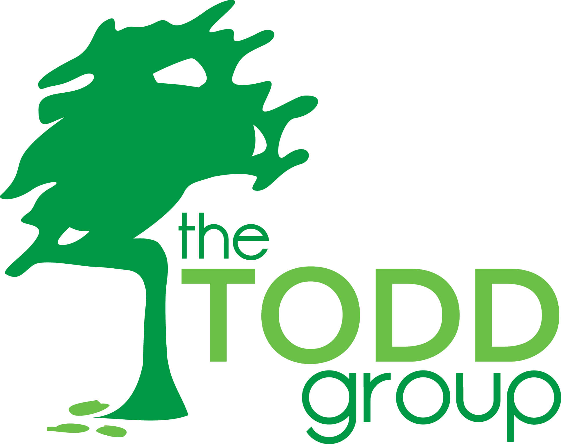 The Todd Group Logo Design by Creare Web Solutions